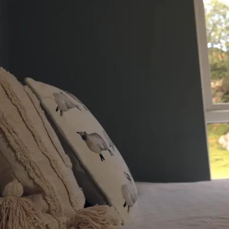 Ben Lettery ホステル