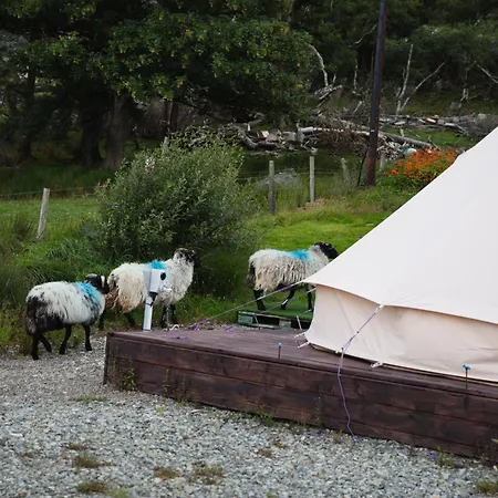 Ben Lettery Ballynahinch