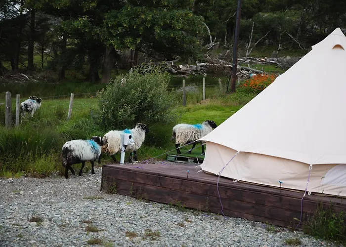 Ben Lettery Ballynahinch