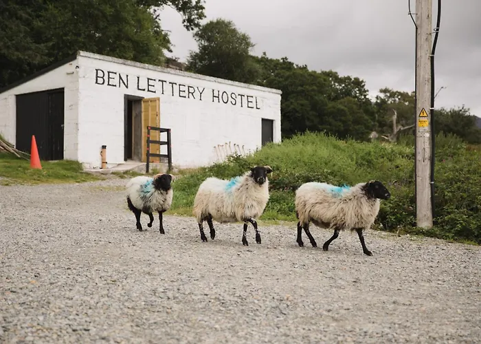 Auberge de jeunesse Ben Lettery Ballynahinch